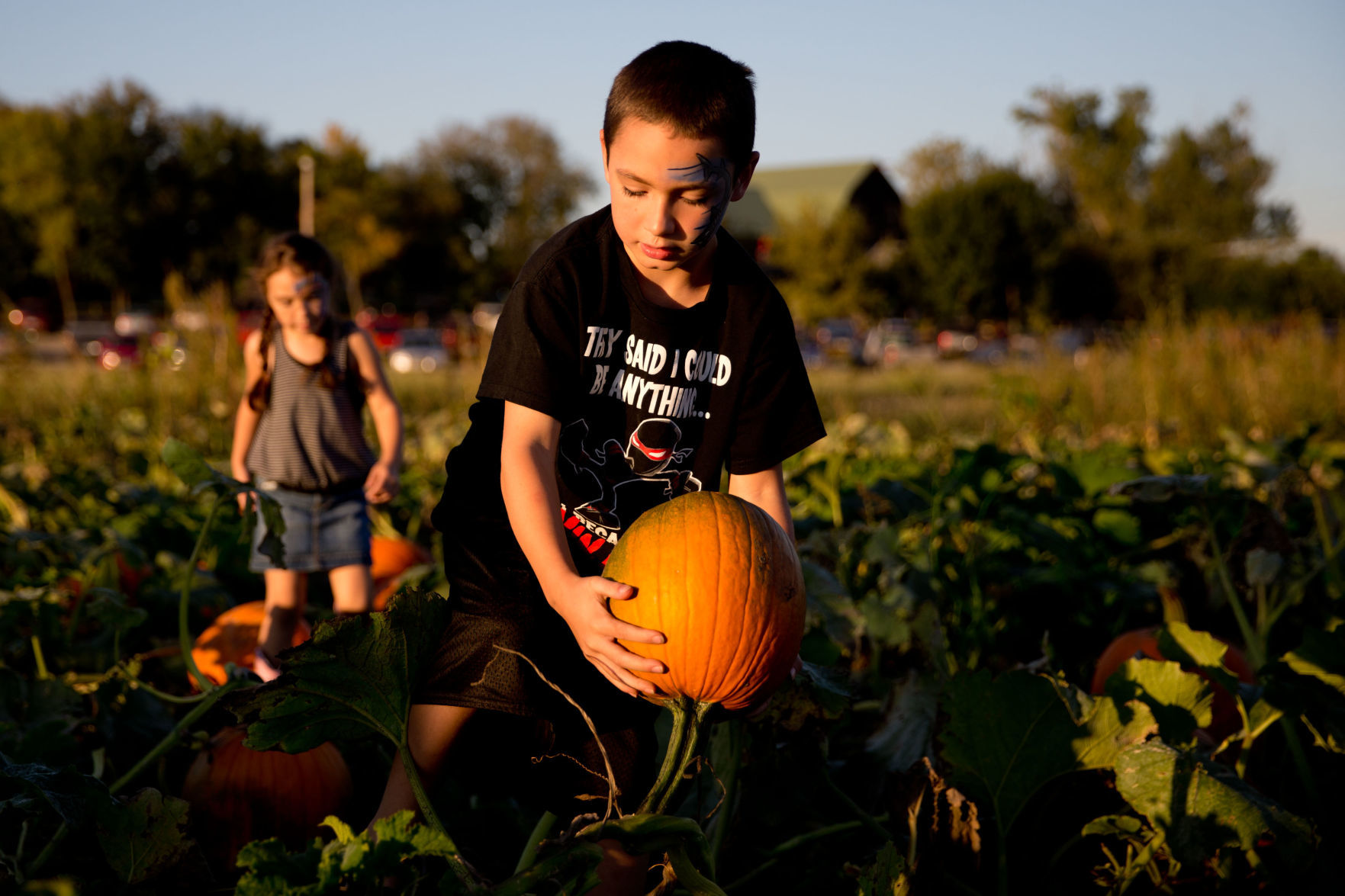 Berry Farm